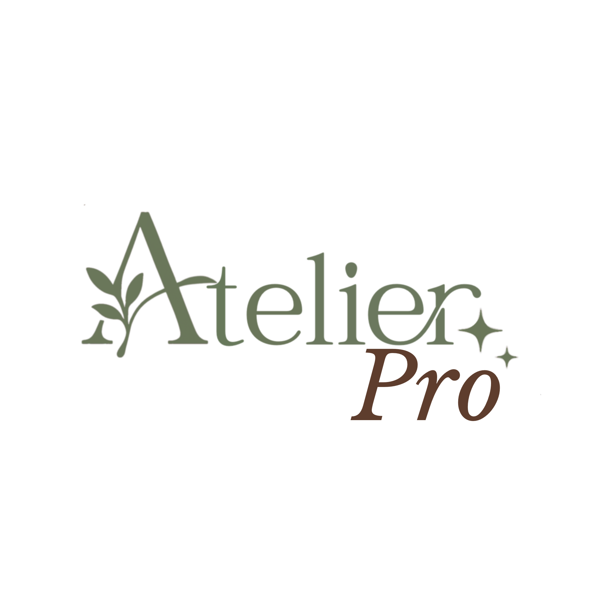 Atelier Pro